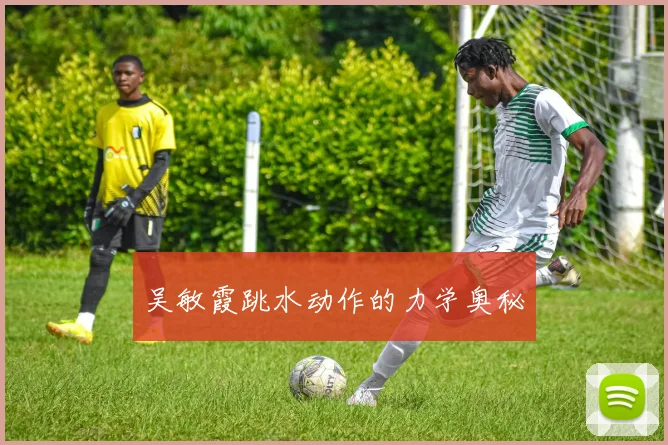 吴敏霞跳水动作的力学奥秘