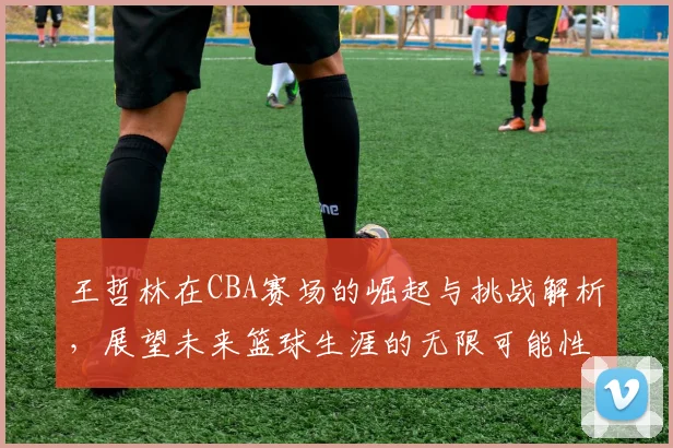 王哲林在CBA赛场的崛起与挑战解析，展望未来篮球生涯的无限可能性