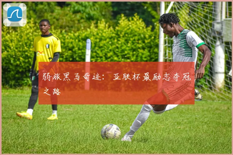 弱旅黑马奇迹：亚联杯最励志夺冠之路