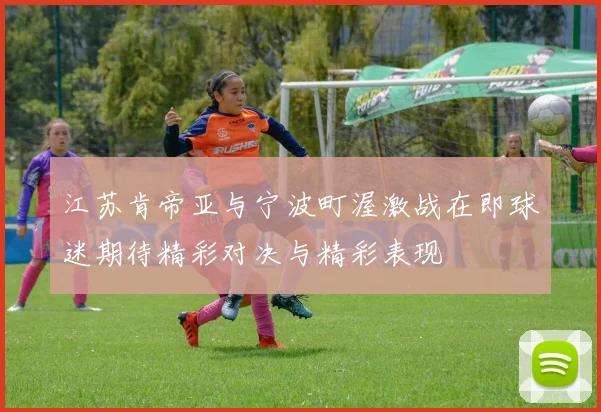 江苏肯帝亚与宁波町渥激战在即球迷期待精彩对决与精彩表现