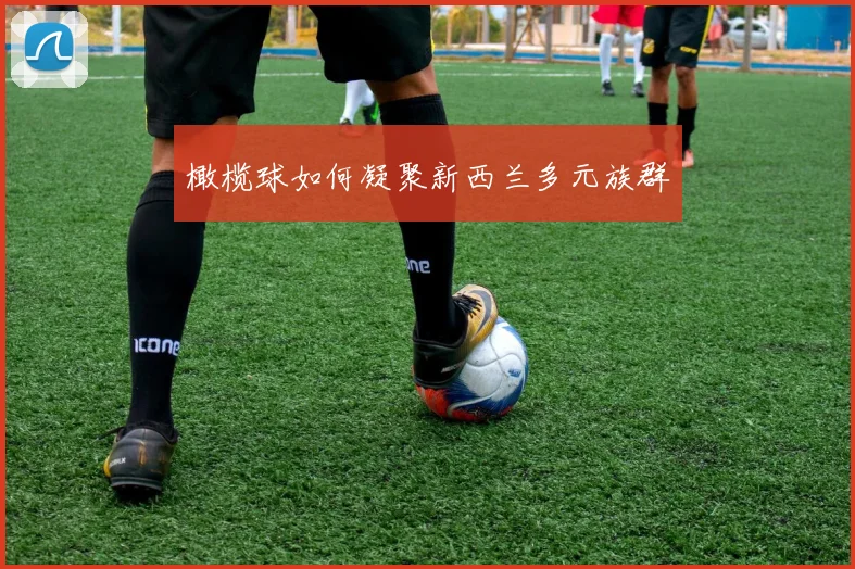 橄榄球如何凝聚新西兰多元族群