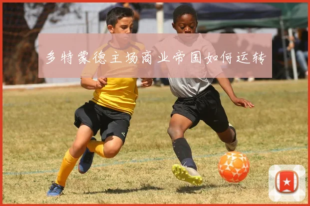 多特蒙德主场商业帝国如何运转