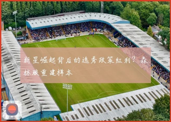 新星崛起背后的选秀政策红利？森林狼重建样本