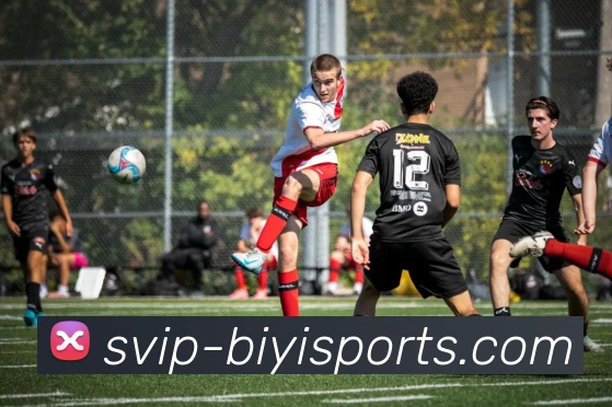 App Interface Preview